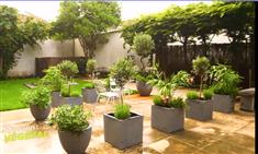 Un coin de sud dans son jardin 