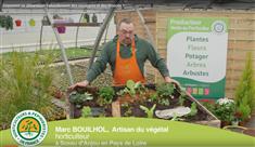 Comment se débarasser naturellement des escargots et des limaces ? 