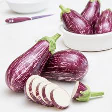 Aubergine "Rania" F1